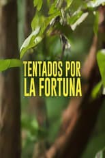 Poster for Tentados por la Fortuna