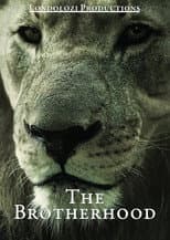 Poster for The Brotherhood