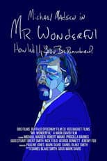 Poster for Mr. Wonderful