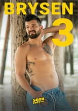 Poster for Brysen 3