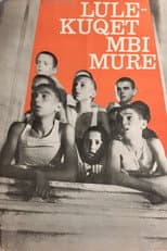 Poster for Red Poppies on the Wall
