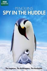 Poster for Penguins: Spy in the Huddle