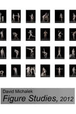 Poster for Figure Studies