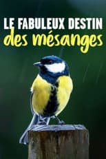 Poster for Kleine Meise ganz groß