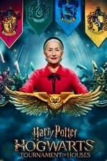 Poster for Harry Potter: Hogwarts Tournament of Houses