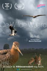 Poster for De wilde waard