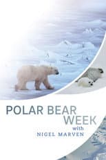 Poster for Polar Bear Week with Nigel Marven