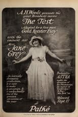 Poster for The Test