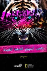Poster for Big Cat Week Collection