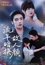 Poster for 流年暗换故人颜