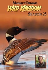 Poster for Season 25