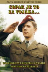 Poster for Who's That Soldier?