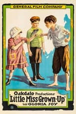 Poster for Little Miss Grown-Up