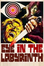 Poster for Eye in the Labyrinth