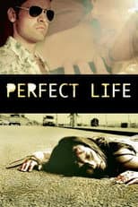 Poster for Perfect Life