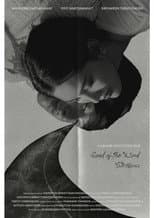 Poster for Road of the Wind