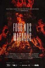 Poster for Fogo nos Macacos