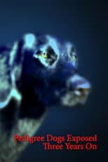 Poster for Pedigree Dogs Exposed: Three Years On