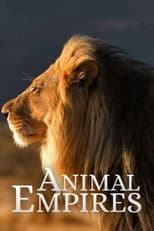 Poster for Animal Empires