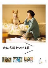 Poster for Dogs Without Names