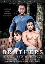 Poster for Brothers 3: Blood Brothers