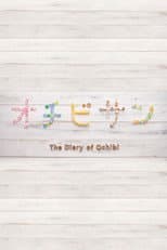 Poster for The Diary of Ochibi