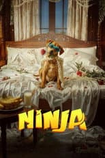 Poster for Ninja