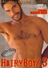 Poster for Hairy Boyz 3