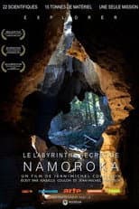 Poster for Le Labyrinthe secret de Namoroka