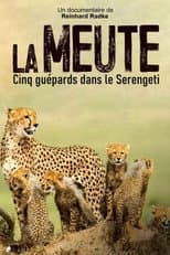 Poster for Die fünf Geparde - Gemeinsam durch die Serengeti