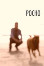 Poster for Pocho