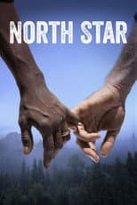 Poster for North Star