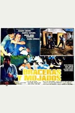 Poster for Braceras y mojados