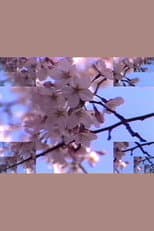 Poster for Rock Video: Cherry Blossom