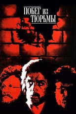 Poster for Prison Break