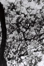 Poster for This is for Jonas Mekas