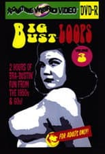 Poster for Big Bust Loops Volume 3