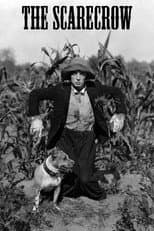 Poster for The Scarecrow