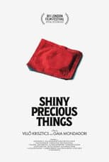 Poster for Shiny Precious Things
