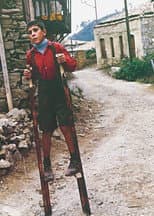 Poster for The Flea