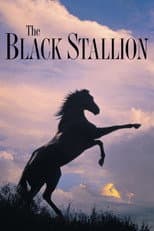 Poster for The Black Stallion