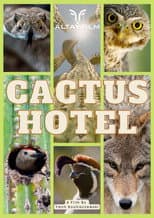Poster for Cactus Hotel