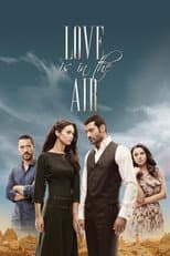 Poster for Love Is in the Air