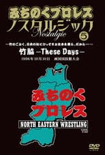 Poster for Michinoku Pro 3rd Anniversary: These Days