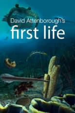 Poster for First Life