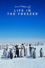 Poster for Life in the Freezer