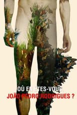 Poster for Where Do You Stand Now, João Pedro Rodrigues?