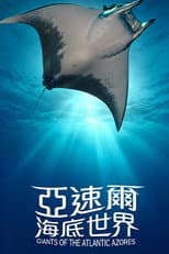 Poster for 亚速尔海底世界