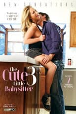 Poster for The Cute Little Babysitter 3