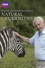 Poster for David Attenborough's Natural Curiosities